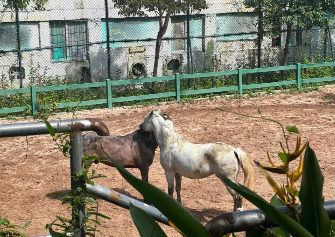 25平蛋糕店裝修隻花3萬塊